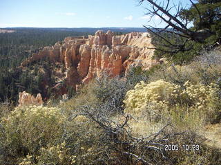 Bryce Canyon -- Rim Trail