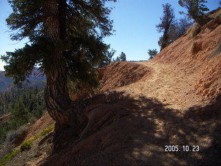 Bryce Canyon -- Rim Trail
