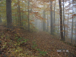 Pennypack Park -- foggy fall morning