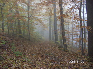 Pennypack Park -- foggy fall morning