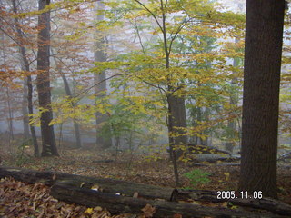 Pennypack Park -- foggy fall morning