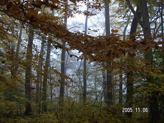 Pennypack Park -- foggy fall morning