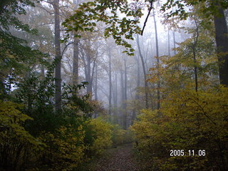 Pennypack Park -- foggy fall morning