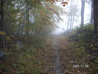 Pennypack Park -- foggy fall morning