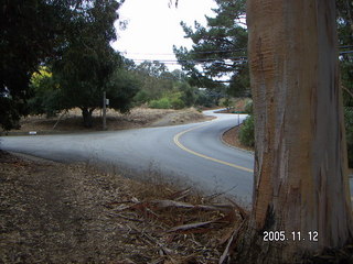 Los Altos Hills morning run