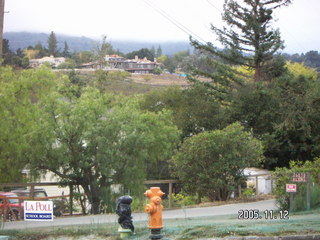 Los Altos Hills morning run