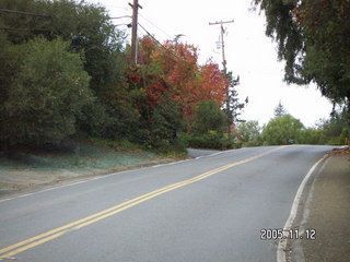 Los Altos Hills morning