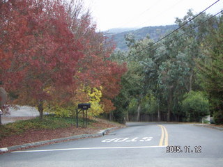 Los Altos Hills morning