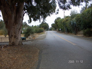 Los Altos Hills morning run