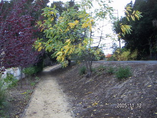 Los Altos Hills morning run