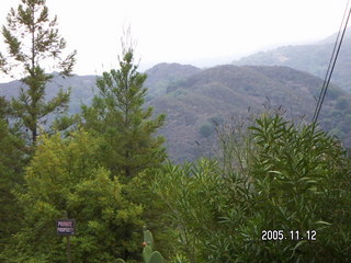 Los Altos Hills morning run