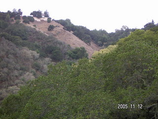 Los Altos Hills morning run