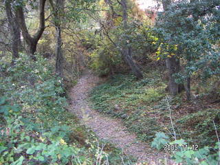 Los Altos Hills morning run