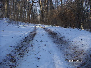 Pennypack Park -- winter wonderland run