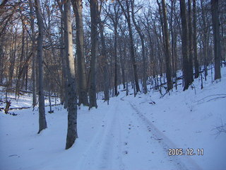 Lorimar Park -- winter wonderland run