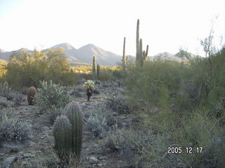 Lorimar Park -- winter wonderland run