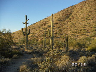 Lorimar Park -- winter wonderland run