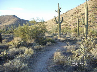 Lorimar Park -- winter wonderland run