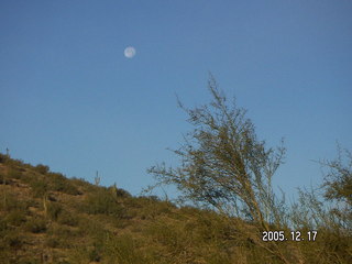 Lorimar Park -- winter wonderland run