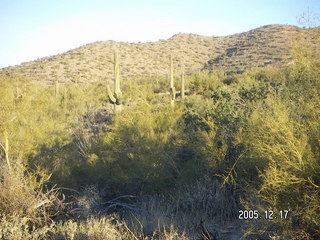 Lorimar Park sign