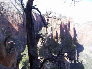 aerial -- Zion National Park