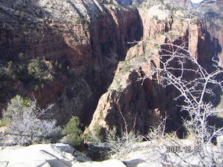 Zion National Park