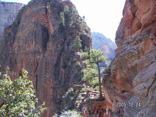 aerial -- Zion National Park