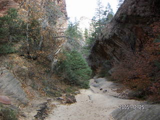 Zion National Park -- Hidden Canyon