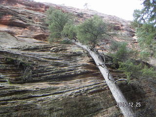 Zion National Park -- Hidden Canyon