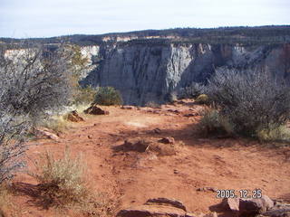 Zion National Park -- Observation Point