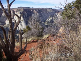 Zion National Park -- Observation Point