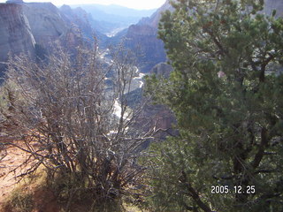 Zion National Park -- Observation Point -- Adam