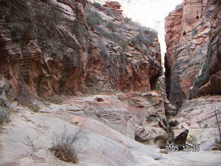 Zion National Park -- Observation Point hike