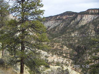 Zion National Park -- Observation Point hike