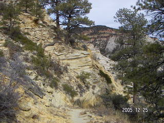 Zion National Park -- Observation Point hike