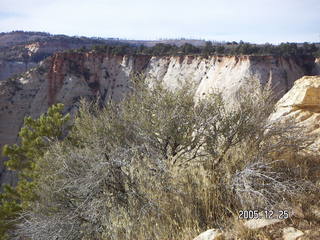 Zion National Park -- Observation Point