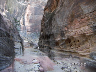 Zion National Park -- Observation Point hike