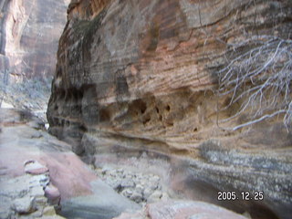 Zion National Park -- Observation Point hike