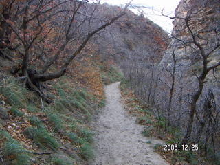 Zion National Park -- Observation Point