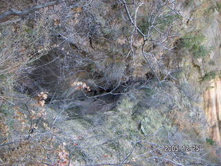 Zion National Park -- Observation Point hike