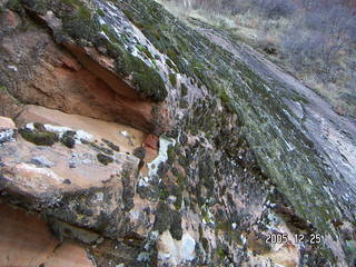 Zion National Park -- Observation Point hike