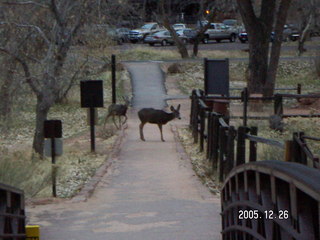 Zion National Park