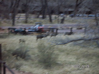 Zion National Park