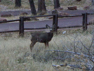 Zion National Park -- Virgin River