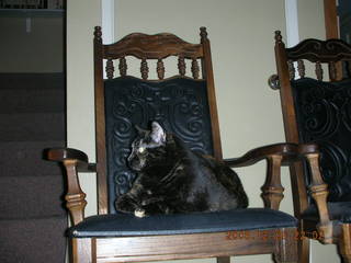Zion National Park -- Angel's Landing hike -- Adam on top of the pile of rocks