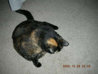 Zion National Park -- Weeping Rock