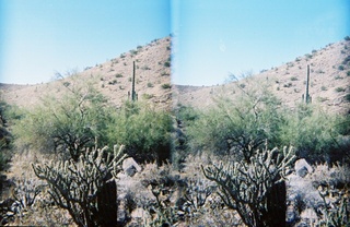 stereo-3D L+R parallel-eye Loreo -- N4372J at Marana