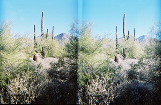 stereo-3D L+R parallel-eye Loreo -- Lost Dog Wash trail