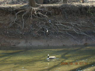 wet Lost Dog Wash trail