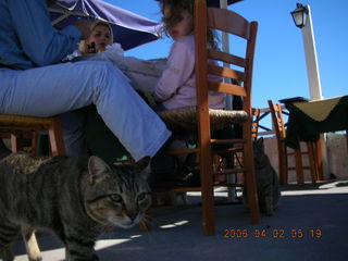 2006 eclipse trip -- Santorini shopping stop -- cat
